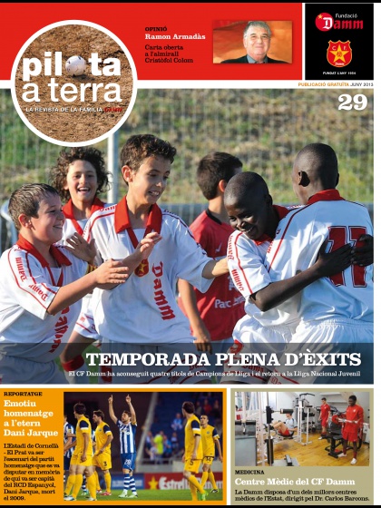 Nº 29 - Junio 2013